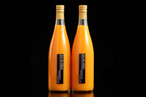  Jus de mikan 農薬・化学肥料不使用の100％みかんジュース ×2本 の説明画像