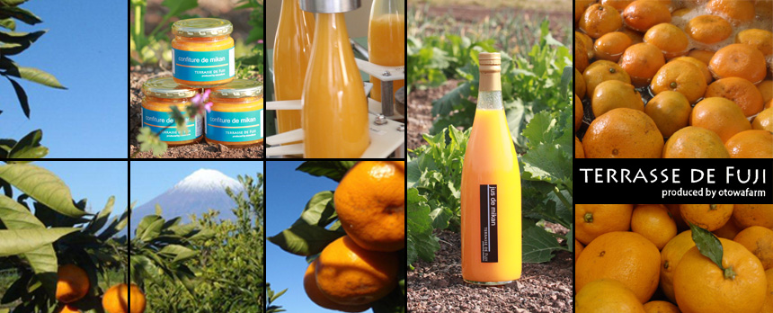 TERRASSE DE FUJI produced by otowafarm